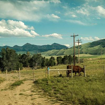 Track and fence line