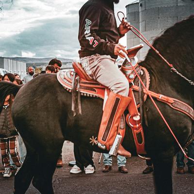 Rider and horse at a rodeo