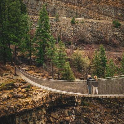 Suspension footbridge