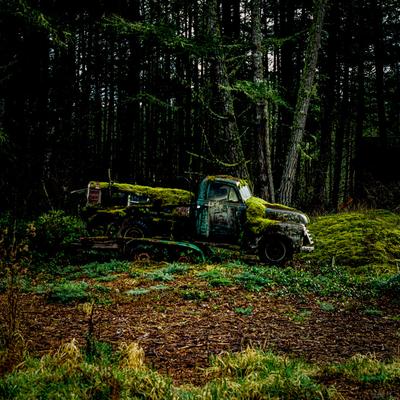 Derelict truck in forest