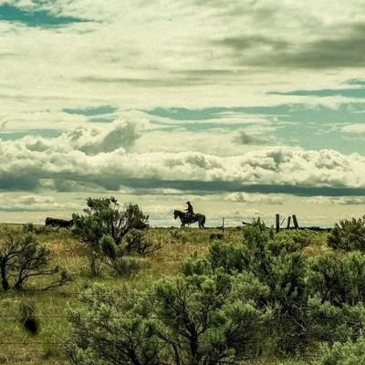 Rider in sagebrush